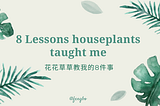 8 Lessons Houseplants Taught Me (How to be a better person & designer)