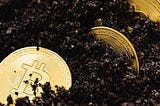 Gold color coins with the Bitcoin log on black sand — Photo by Karolina Grabowska from Pexels