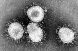 Coronavirus: How it behaves