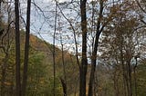 Hike Review: Little Devils Stairs (Shenandoah National Park)