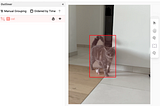 Tracking a Cat with TensorFlow Object Detection Model and Coral Edge Device for Inference