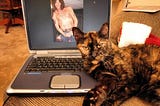 IN QUIT CAT’S OPINION