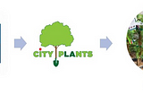 LA’S URBAN FORESTRY “PROGRAM” CONSISTS OF THEM GIVING YOU A TINY TREE YOU NEED TO WATER & CARE FOR…