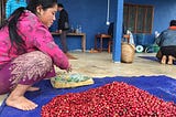 The Growth of Specialty Coffee in Northern Laos