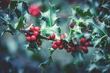 Celebrating Christmas — My Mini “Christmas Botanicals” Collection