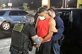 Is ICE Deputizing Civilians?