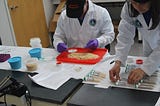 The Realities of Working at an Agriculture Biotech Startup