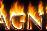 AGNI: THE FIRST FIRE of LIGHT and LIFE