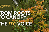 Empowering Tribal Sovereignty Through ITARA: A Path to a Stronger Future