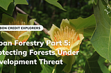 Urban Forestry Part 5: Preserving Urban Forests Amid Residential Development Threat