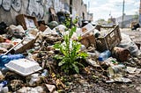 Basura fértil: porqué Guayaquil necesita estudios técnicos para gestionar su basura.