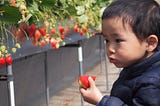 はるお（仮）、理由を述べる