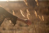 The Witches We Were, The Women We Are: Why We Still Bleed for Lessons We Never Asked For