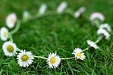 Daisy Chain Flower Crown