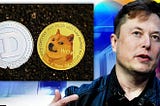 If you like Doge , then you’ll fall in love wih DogsOfTesla