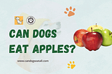 Can Dogs Eat Apples: A Nutritional Guide