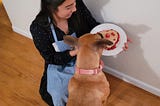 Anne holding a plate of the pet friendly birthday cake while Shia, Anne’s dog, smells it.