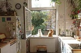 Home-Cooked Dust