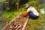 Growing Your Own Food: An Act of Rebellion