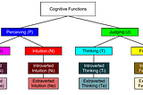 Jungian Cognitive Functions: Overview