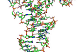 Passage Review: miRNAs and the transmission of genetic information to proteins, Part II