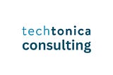 A New Horizon for Techtonica: Introducing Techtonica Consulting