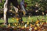 Essential Things The Leaf Blower Buyer’s Guide