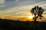 Habits to Stay Grounded in a Remote World