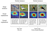 Zero-Shot Learning: “The Seen, The Unseen and The Unknown”