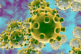 When spring break fell through, I help track the coronavirus for millions in the US