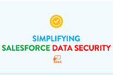 Salesforce Data Security