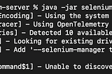 Web Testing with Selenium for a Web Application Built in Go
