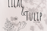Lilac&Tulip