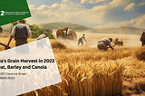 Exploring the Success of Australia’s Wheat, Barley, and Canola Crops in 2023
