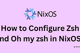 How to configure Zsh and Oh my Zsh in NixOS?