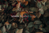 How to stake SEM?