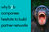 Why B2B Companies Hesitate to Build Partner Networks
