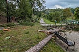 Walking path strewn with fallen trees and branches