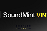 Introducing: SoundMint Vinyls