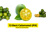 13 Best Fresh Calamansi Fruit Philippines 2022 (w/ Free Discount)