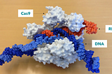 CRISPR’a Giriş