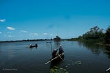 Discovering the Beauty of Lake Toho