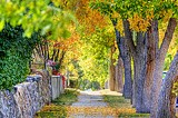 Autumn Street, Helena, Montana