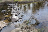 Project 4: Andy Goldsworthy Site Specific Installation