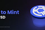 How to Mint Real USD