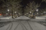 A picture of a park in the city where it has just snowed