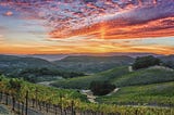 Vineyard Sunset on Moon Mountain