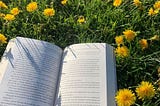 Four Books to add to your Summer TBR