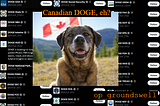 Canadian DOGE, eh?