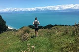 Picture of a man on top of a grassy hill overlooking pristine blue water in New Zealand